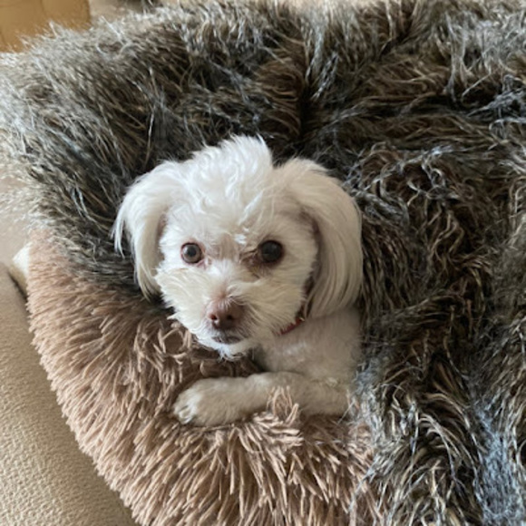 Meet your Posher, Nita g - Picture 1 of 1